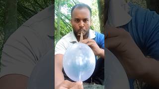 How to inflate a balloon with a bamboo flute  survival skills  shorts shorts shortsfeed [upl. by Sturdivant]