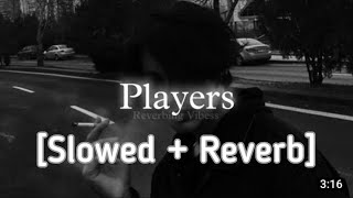 Players SlowedReverb Lofi  BadshahKaran Aujla  Night Music🎧 [upl. by Nytsrik]