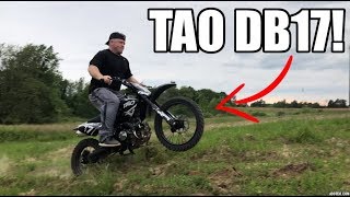 Jumping The 600 Tao Tao DB17 125 Dirt Bike [upl. by Wichern]