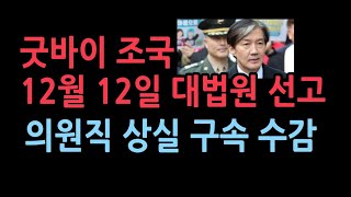 조국 12월 12일 의원직 상실 구속 수감 피선거권 박탁재판지연의 전형 기소후 5년 걸려 최종판결 [upl. by Frodin]