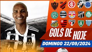 ⚽️ TODOS OS GOLS DESTE DOMINGO 22092024 GOLSDEHOJE GOLSDODIA GOLSDOBRASILEIRÃ [upl. by Pam]