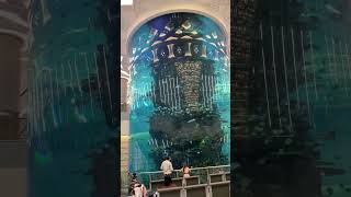 FAKIEH AQUARIUM shortsvideo jeddah [upl. by Ennylyak]