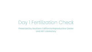 Day 1 Fertilization Check [upl. by Leong]