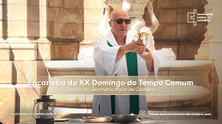 Missa do XX Domingo do Tempo Comum  Ano A  Transmissão em direto [upl. by Yle]