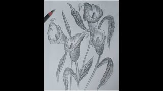 How to draw a bunch of flowers step by step for beginners [upl. by Yrneh]