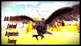 Complete Argentavis Taming Guide  Fly High in Ark Survival Evolved [upl. by Nyrhtak]