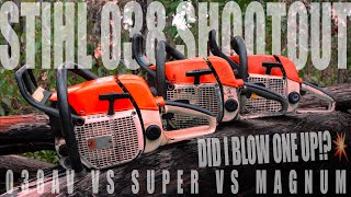 STIHL 038 Showdown  Did I Blow One Up 💥 [upl. by Brien603]