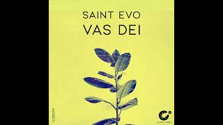 Saint Evo  Vas Dei Original Mix [upl. by Napier]