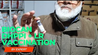 Biocan DHPPi  Biocan LR  Bestest Vaccination  for Every kind of Dog Breed [upl. by Aihseken]