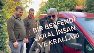 GÜNAYDIN Çiftliği İsmet beye KANGALTÜRK Krallarımızı teslim ettik kangal [upl. by Sola]