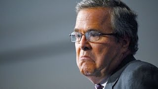 Jeb Please Clap Bush Ends Embarrassing Presidential Campaign [upl. by Thill]