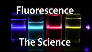 How Fluorescence Works  The Science [upl. by Htez]