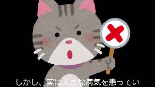 猫の便秘の原因と、簡単にできる解消方法 [upl. by Lanna340]