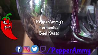 Beet Kvass  PepperAmmys Fermentation Friday [upl. by Eidob]