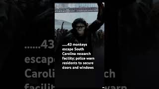 🐵😳😳43 monkeys escape South Carolina research facility monkey news viralvideo trending youtube [upl. by Elkraps]