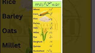 Top Grain Vocabulary with Urdu Meanings  Learn Common Grain Names in English and Urdu [upl. by Armat]