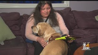 Blind Student Says School Separated Her From Service Dog [upl. by Orten]