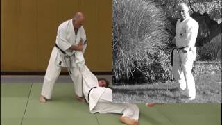 Heian Shodan Bunkai Trailer [upl. by Epolenep573]