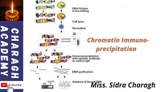 In Vivo Transcription Factor Recruitment Analysis by Chromatin Immunoprecipitation ChIP✍✍ [upl. by Oeht]