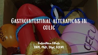 Colic in horses explained with a model of gastrointestinal tract  Vet Students [upl. by Ycnahc]