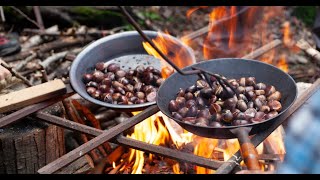 Cómo hacer castañas asadas 3 métodos Sartén horno y microondas [upl. by Hammad262]