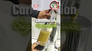 इस तरह बनाईये गन्ने का ज्यूस और कमाईये लाखों 🤑😱SUGARCANE JUICE WITH A TWIST business [upl. by Ysabel615]