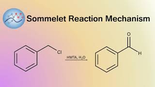 Sommelet Reaction Mechanism  Organic Chemistry [upl. by Broida614]