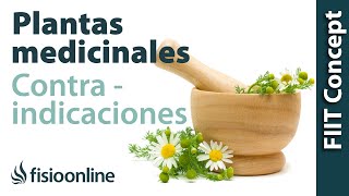 Posibles reacciones al tratamiento con plantas medicinales y contraindicaciones [upl. by Anole164]