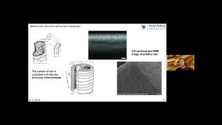 Selfassembly of halloysite nanoclay for hair surface engineering Rawil Fakhrullin [upl. by Acimot]