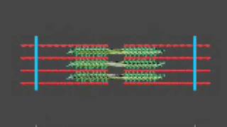 How a muscle contraction is signalled  Animation [upl. by Jadwiga]