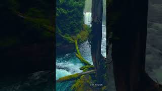 Breathtaking View From Switzerland ytshorts travel ytshort youtubeshorts switzerland [upl. by Komsa]