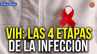 ¿Sabías que el VIH tiene 4 etapas Todo sobre esta infección sin cura pero controlable [upl. by Nnylodnewg293]