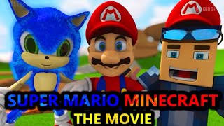 SUPER MARIO 64 VS MINECRAFT CHALLENGE FT SONIC [upl. by Atinot]