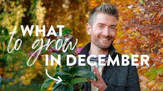 What to Plant in December for a Thriving Winter Garden [upl. by Pavior]