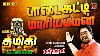 Padaikatti Mariamman  Theemidhi  Srihari  Full song [upl. by Hameean842]