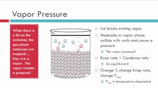 Evaporation Vapor Pressure and Boiling [upl. by Wallas]