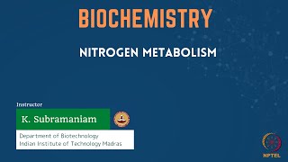 Nitrogen Metabolism [upl. by Eelyme]