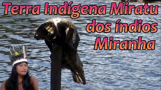 Aldeia Tapereira dos Ã­ndios Miranha Terra IndÃ­gena Miratu lago de Uarini estado do Amazonas [upl. by Rosenkranz]