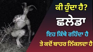 ਛਲੇਡਾ ਕੀ ਹੁੰਦਾ ਹੈ। ਸਲੇਡਾ ਕਿੱਥੇ ਰਹਿੰਦਾ ਹੈ। chhaleda ki hai। chhalawa kya hai। chhalawa saleda [upl. by Nitsraek]