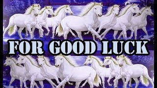 seven white horses running wallpaper for Good Luck by astrologer bharat [upl. by Ferwerda]