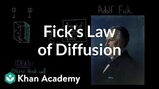 Ficks law of diffusion  Respiratory system physiology  NCLEXRN  Khan Academy [upl. by Lati126]