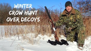 Winter Crow Hunting Over Decoys [upl. by Euh]