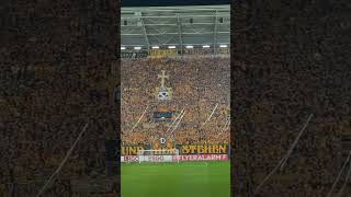 Dynamo Dresden Fans mit Choreographie [upl. by Mischa]