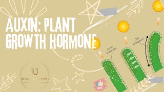 Auxin Structure Types Transport and Physiological Functions [upl. by Assilam]