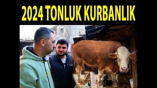 TARIM TUBE YUNUSUN 1 TON OLACAK KURBANLIK DANA SÖZÜ VERİLDİ  2024 KURBAN FİYATLARI NE OLUR [upl. by Mirna]