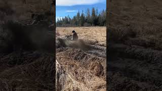 2024 Grizzly 700 almost gets stuck xtr grizzly 207 atv [upl. by Martinelli817]