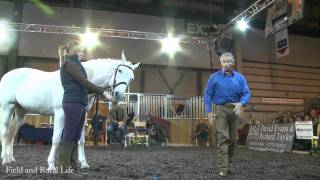 Martin Clunes and Monty Roberts discuss Horsepower at BETA International Horse Show [upl. by Leile105]