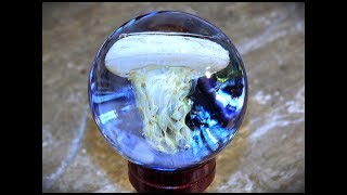 Make a Jellyfish Marble with Fumed Glass Tentacles and Dichroic Glass Video  Shawn Tucker Art Glass [upl. by Onfroi421]