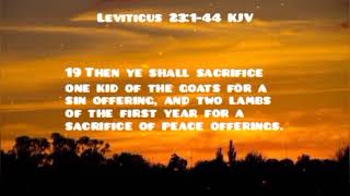 LEVITICUS Chapter 23 KJV [upl. by Barrett526]