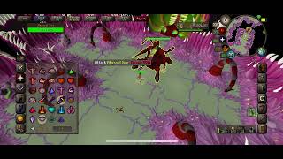 Abyssal Sire OSRS mobile full kill [upl. by Elatia930]